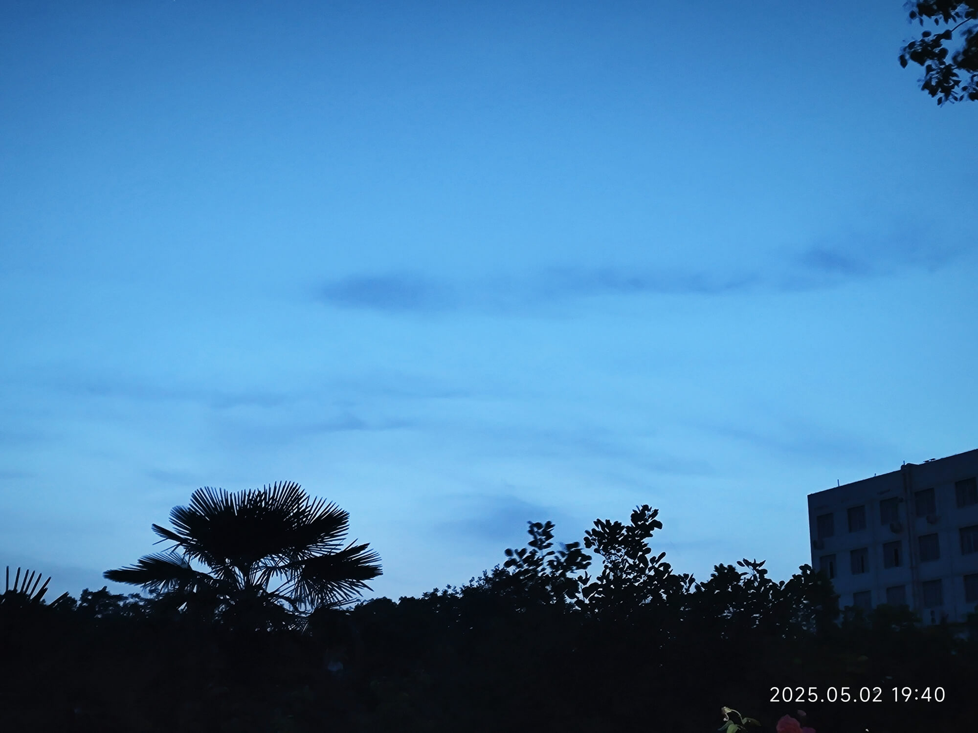 图片[3] - AI科研 编程 读书笔记 - 【日常】2025年5月复盘&6月规划 - AI科研 编程 读书笔记 - 小竹の笔记本